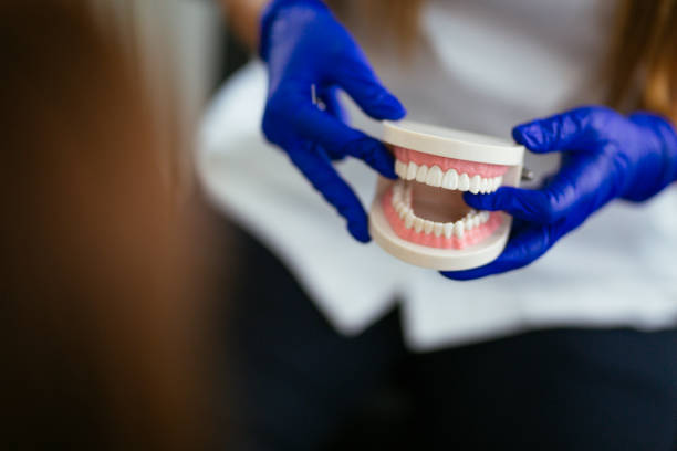Best Dental Fillings (Composite and Amalgam)  in Nokomis, FL